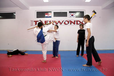taekwondo kwon training